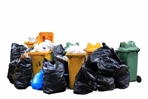 Environmental impact of waste management in Southfields